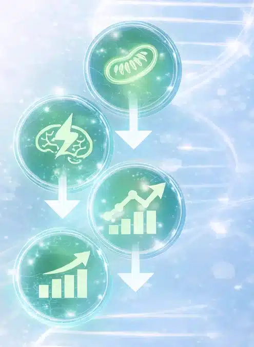 Biohacking Starter Blueprint 40+ 5 ChatGPT Image 14. Feb. 2026 12 46 20 1